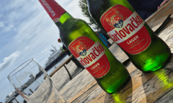Featured image of post Karlovacko Lager