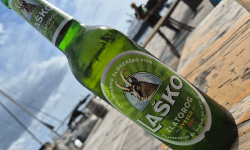 Featured image of post Zlatorog lager